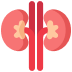 Icons Tes Fungsi Ginjal