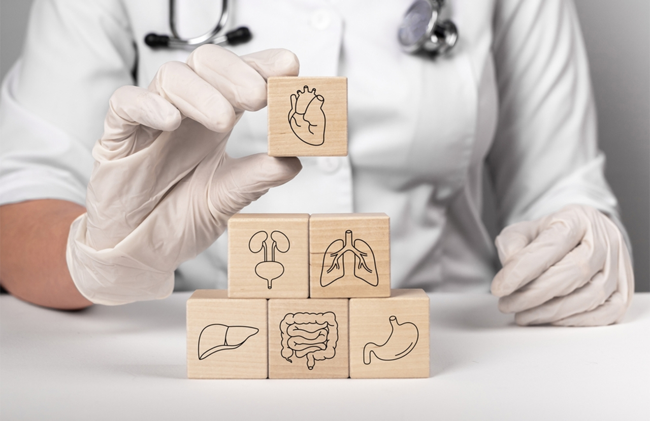 Mengapa Pemeriksaan Organ Sangat Diperlukan?